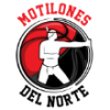 诺特动力